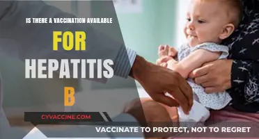 Hepatitis B Vaccination: Availability, Effectiveness, and Importance Explained