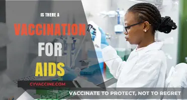 Exploring the Quest for an AIDS Vaccine: Progress and Challenges