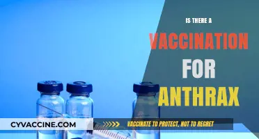 Anthrax Vaccination: Availability, Effectiveness, and Who Needs It?