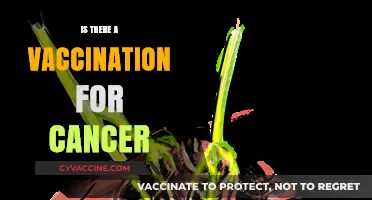 Exploring Cancer Vaccinations: Myths, Facts, and Breakthroughs