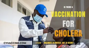Cholera Vaccination: Availability, Effectiveness, and Global Health Impact