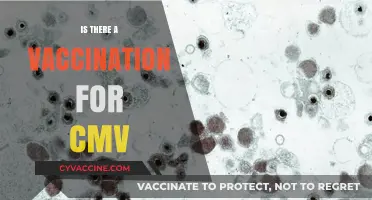 Exploring CMV Vaccination: Facts, Myths, and Future Prospects