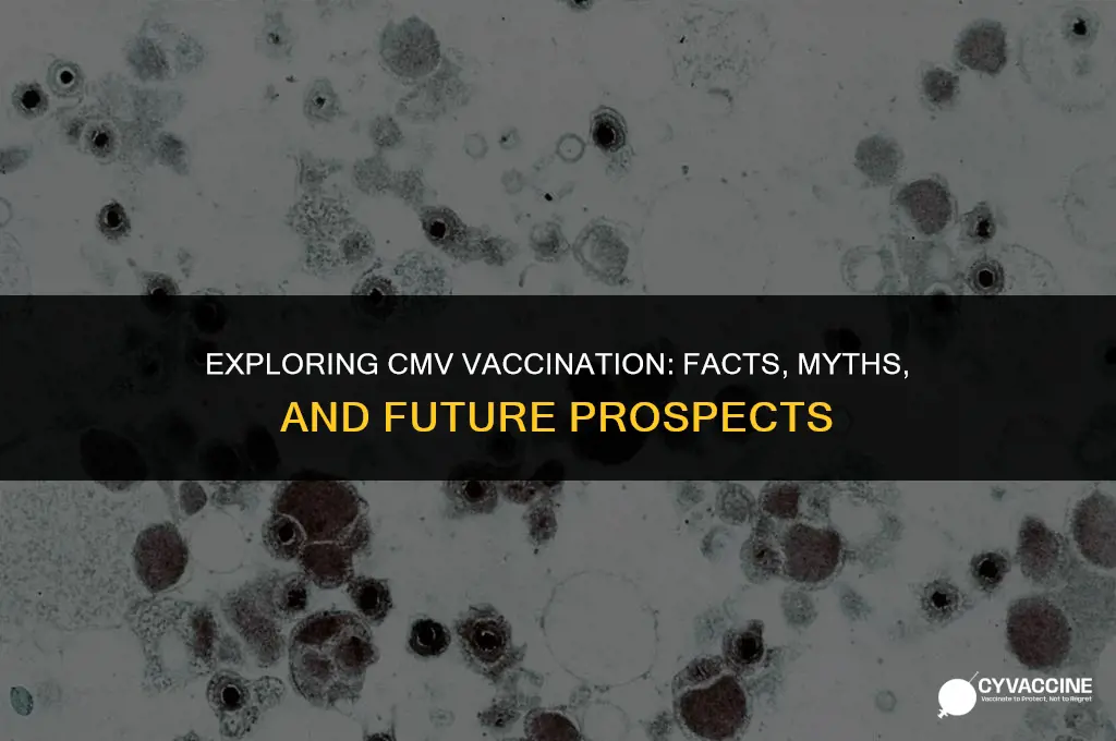 is there a vaccination for cmv