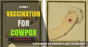 Exploring the Facts: Does a Cowpox Vaccine Exist?