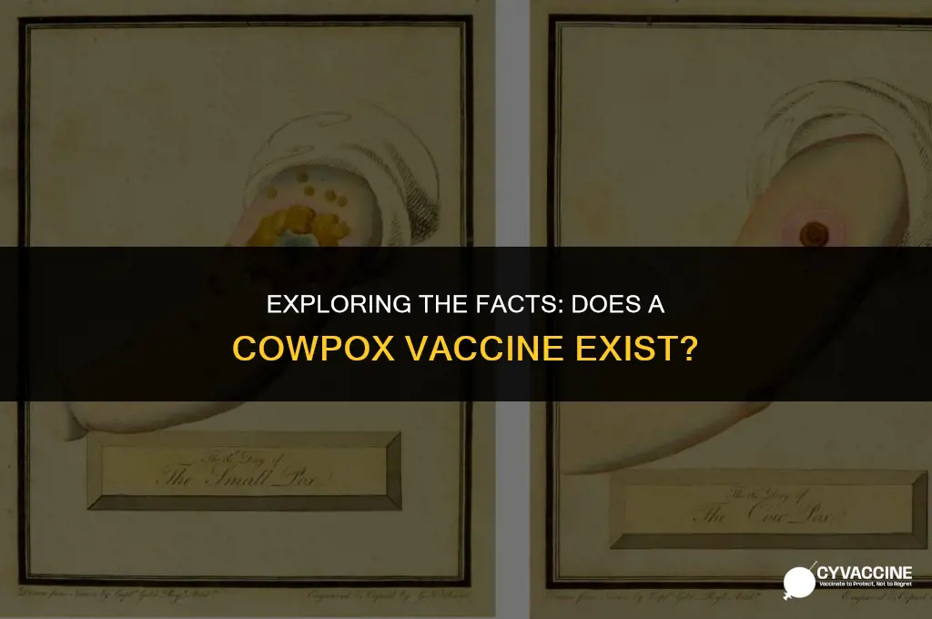 is there a vaccination for cowpox
