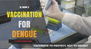 Exploring the Quest for a Dengue Vaccine: Progress and Challenges