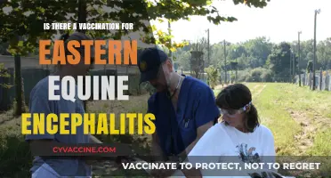 Eastern Equine Encephalitis: Vaccine Availability and Prevention Strategies