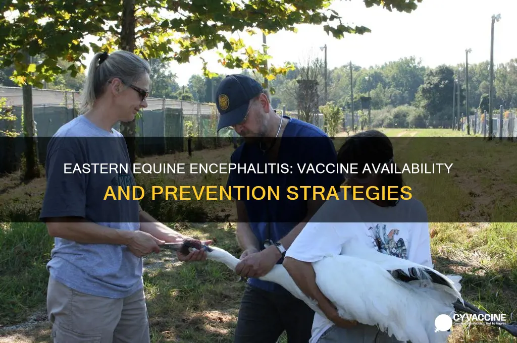 is there a vaccination for eastern equine encephalitis