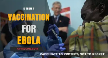 Ebola Vaccination: Current Status, Effectiveness, and Global Accessibility Explained
