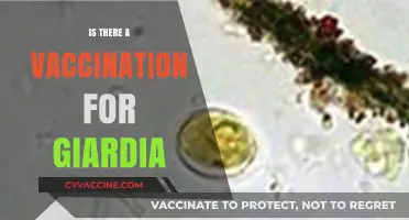 Exploring Giardia Vaccination: Facts, Myths, and Prevention Strategies