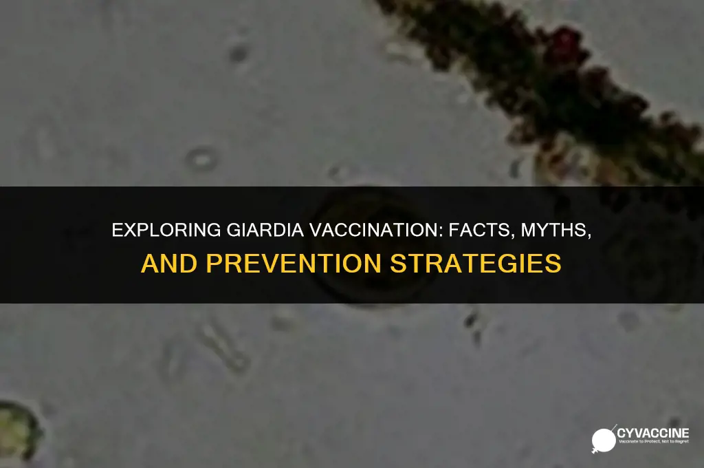 is there a vaccination for giardia