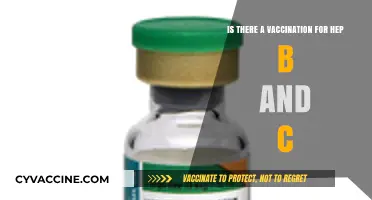 Hepatitis B and C Vaccines: What You Need to Know