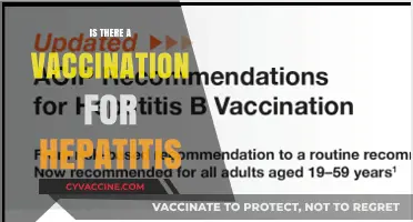 Exploring Hepatitis Vaccination: Facts, Myths, and Prevention Strategies