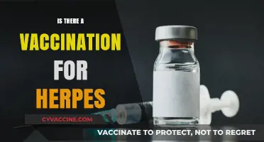 Exploring Herpes Vaccination: Current Research and Future Possibilities