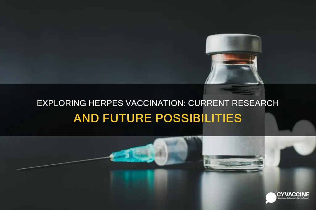 is there a vaccination for herpes