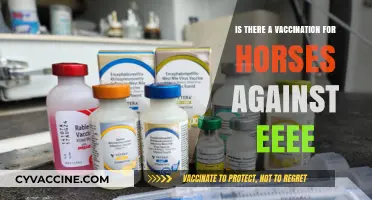 Protecting Horses: Exploring the Availability of EEE Vaccines