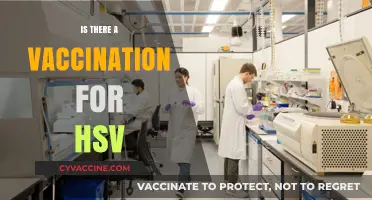 Exploring the Latest Advances in HSV Vaccination Research
