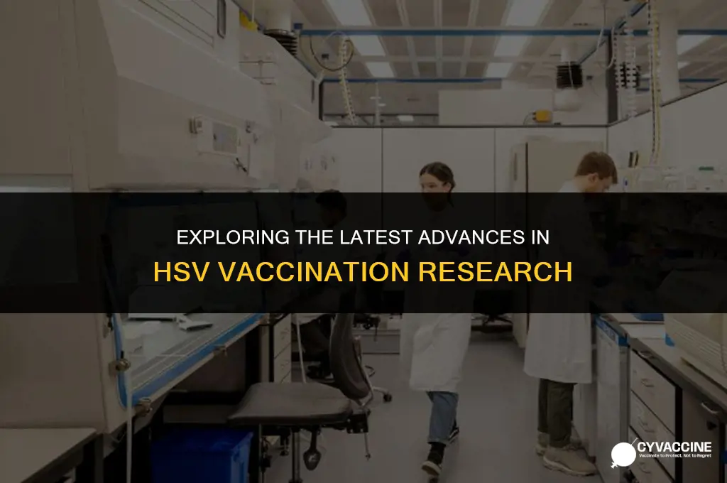 is there a vaccination for hsv