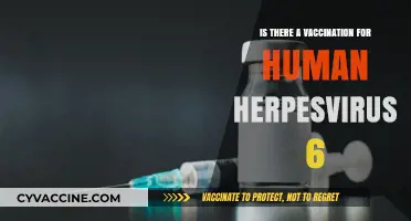 Human Herpesvirus 6 Vaccination: Current Status and Future Prospects