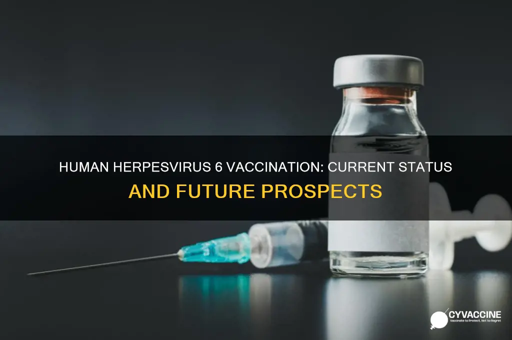 is there a vaccination for human herpesvirus 6