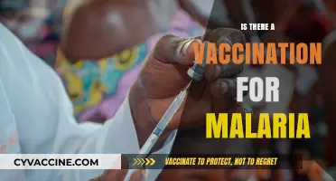 Exploring the Latest: Is There a Malaria Vaccine Available?