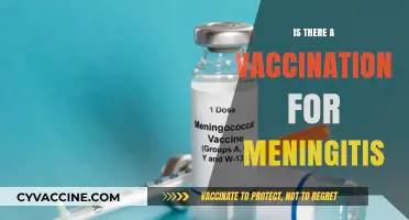 Protecting Against Meningitis: The Facts on Vaccination