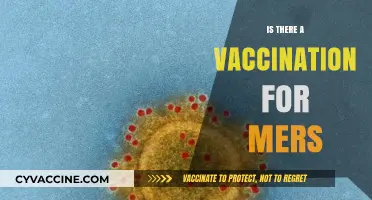 Exploring MERS Vaccination: Current Status and Future Prospects