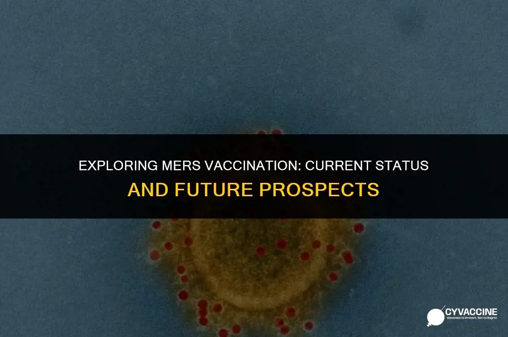 is there a vaccination for mers
