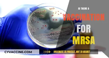 Combatting MRSA: The Quest for an Effective Vaccine