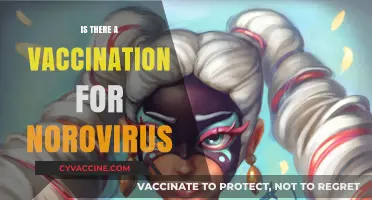 Exploring Norovirus Vaccination: Facts, Myths, and Future Prospects