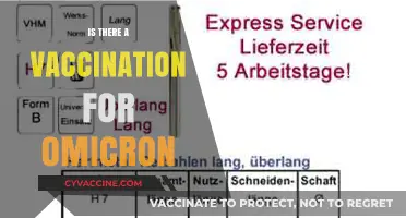 Combatting Omicron: The Quest for an Effective Vaccine