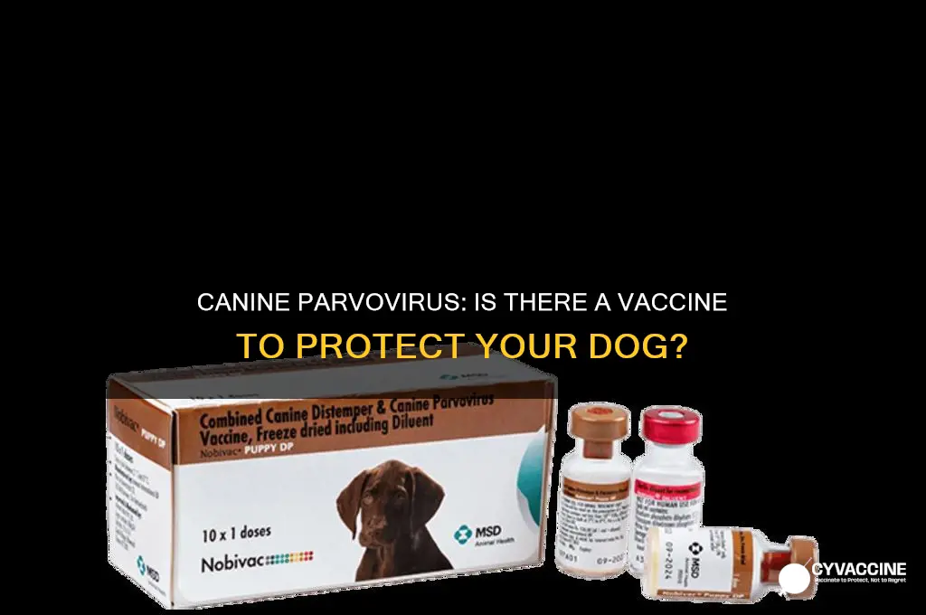 is there a vaccination for parvo