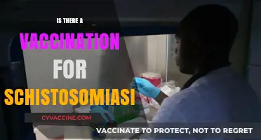 Combatting Schistosomiasis: The Quest for a Protective Vaccine