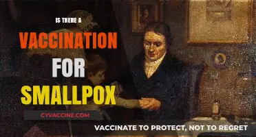 Smallpox Vaccination: Availability, Effectiveness, and Historical Impact Explained