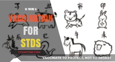 Exploring STD Prevention: The Truth About Vaccinations