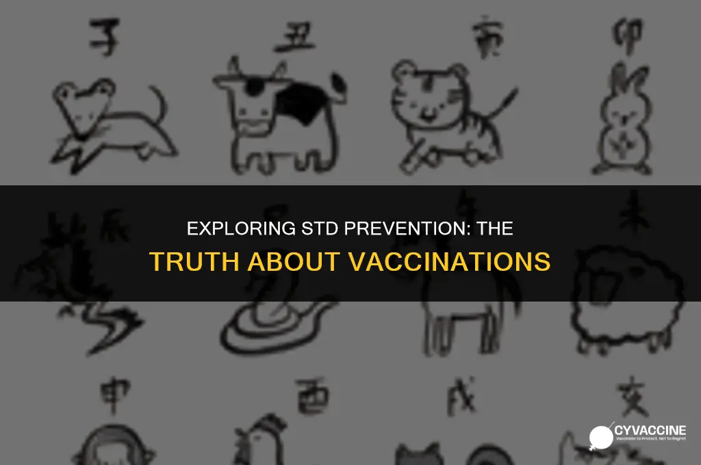 is there a vaccination for stds