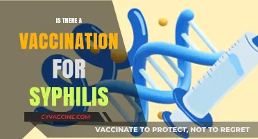 Syphilis Vaccination: Current Status and Future Prospects Explained
