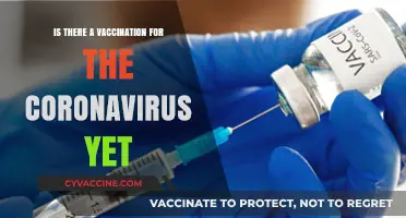 Latest Updates: Is There a Coronavirus Vaccine Available Now?