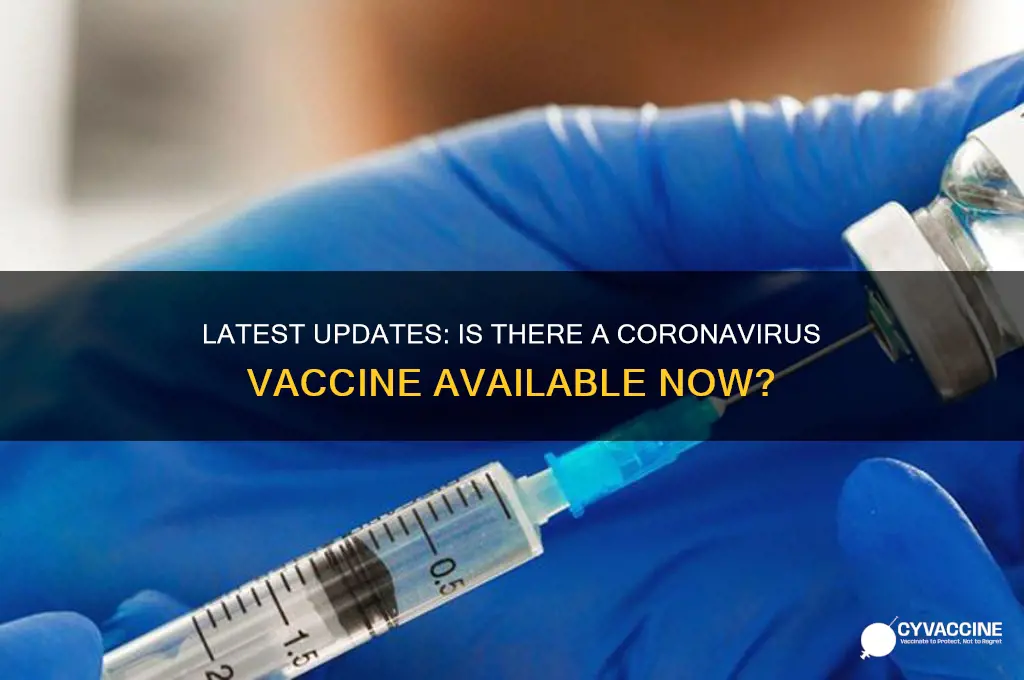 is there a vaccination for the coronavirus yet