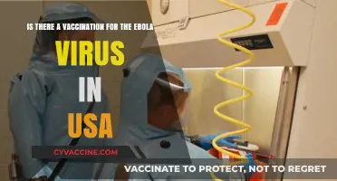 Ebola Vaccination in the USA: Availability, Effectiveness, and Access