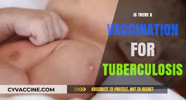 Tuberculosis Vaccination: BCG's Role, Effectiveness, and Global Impact Explained