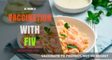 Exploring FIV Vaccination: Myths, Facts, and Future Prospects