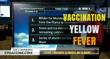 Exploring Yellow Fever Vaccination: Myths, Facts, and Travel Safety