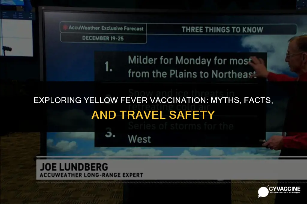 is there a vaccination yellow fever