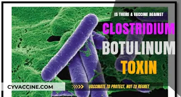 Exploring Vaccine Options for Clostridium Botulinum Toxin: What's Available?