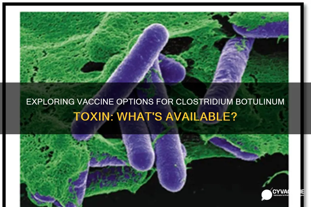 is there a vaccine against clostridium botulinum toxin