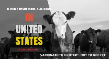 Clostridium Vaccines in the US: Availability and Protection Explained