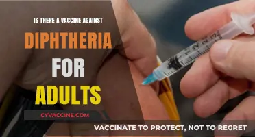 Adult Diphtheria Vaccination: Protection and Prevention Options Explained