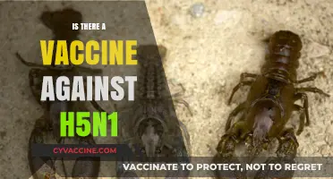 Combatting H5N1: The Quest for an Effective Vaccine
