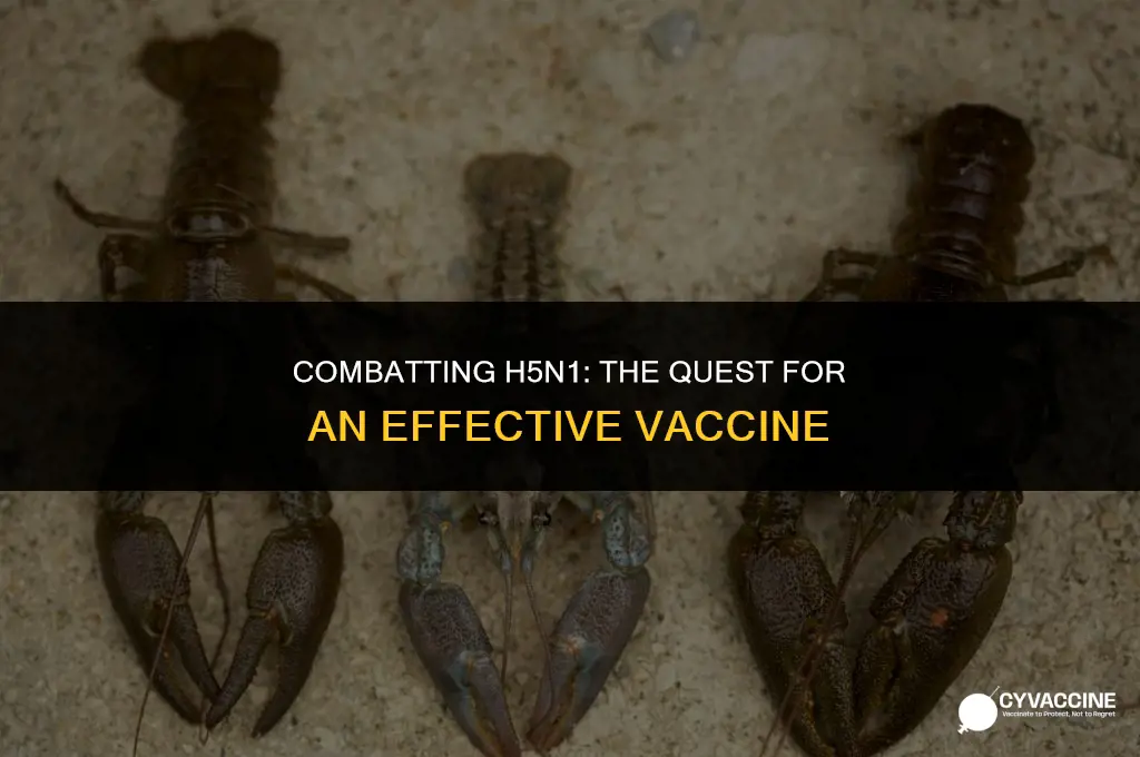 is there a vaccine against h5n1